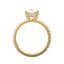 3.91 Carat Pear Lab Diamond Engagement Ring – IGI Certified – Hidden Halo – 14K Gold